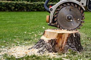 stump grinding